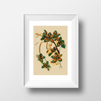 ORCHID ART PRINT